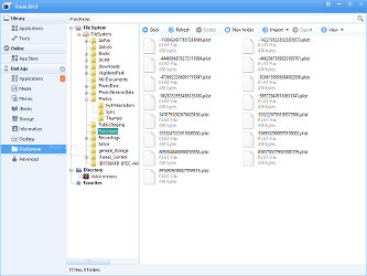Showing the file system area in iTools